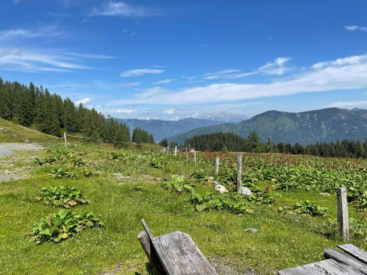 Haus Voglreiter - Inkl Sommerkarte, Zentrale Und Ruhige Lage, Garten Mit Spielplatz Kaprun Exteriér fotografie