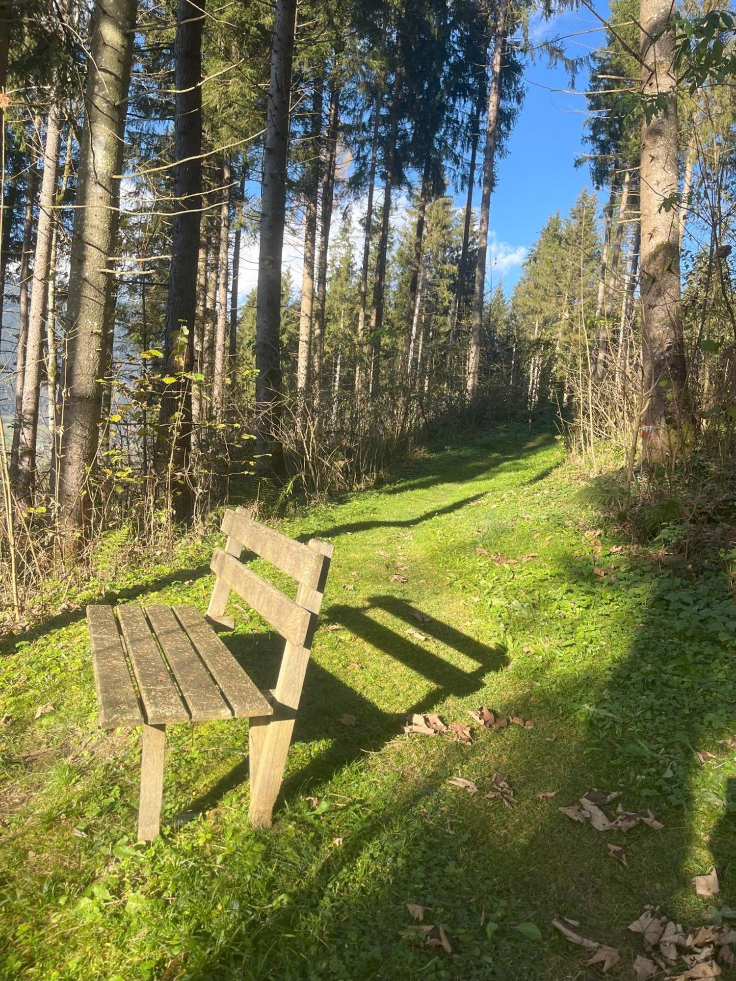 Haus Voglreiter - Inkl Sommerkarte, Zentrale Und Ruhige Lage, Garten Mit Spielplatz Kaprun Exteriér fotografie